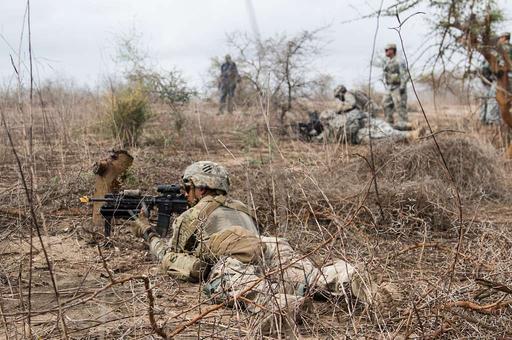 U.S. Army infantrymen assigned to 1st Battalion, 30th - PICRYL - Public ...