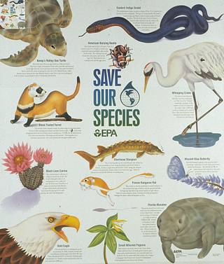 Save our species - PICRYL - Public Domain Media Search Engine Public Domain  Search