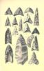 Aboriginal chipped stone implements of New York BHL21939891