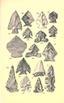 Aboriginal chipped stone implements of New York BHL21939895