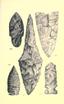 Aboriginal chipped stone implements of New York BHL21939913