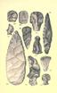 Aboriginal chipped stone implements of New York BHL21939931