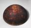 Original tulip shade wood block from Tiffany Studios