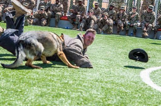 Spectators watch in surprise as Brenda, a U.S. Air - PICRYL - Public ...