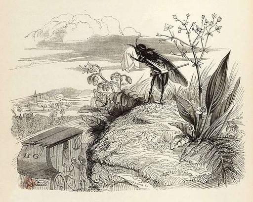 Grandville - Fables de La Fontaine - 07-09 . Le Coche et… — PICRYL