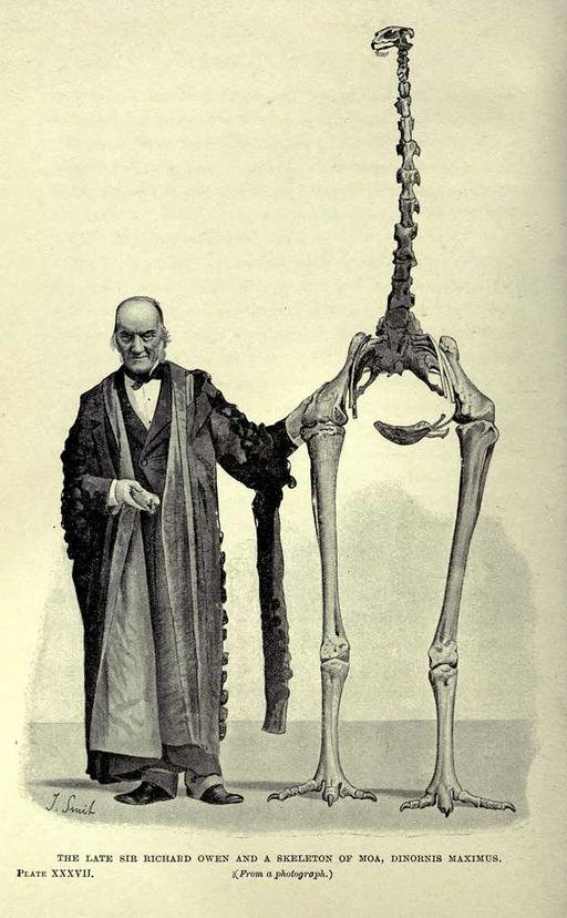 Extinct monsters and creatures of other days BHL18850580 - PICRYL ...