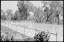 Swimming pool at Moree Aboriginal Station, February 1965 - The Tribune (20101921304)