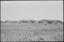 Views of the Aboriginal Reserve at Bowraville?, February 1965 - The Tribune (20819622022)