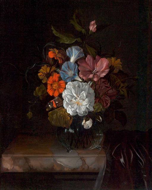 Anna Ruysch's 17th-Century Dutch Still Life Painting of… — PICRYL