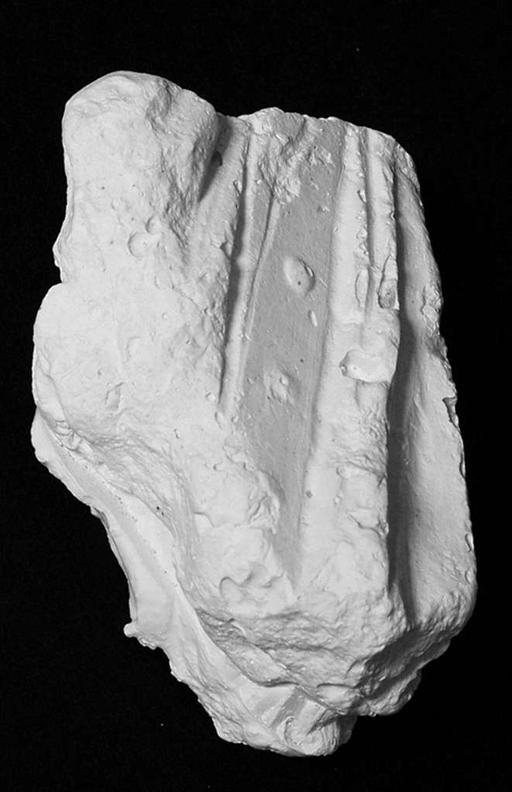 Ubekendt, Fold med koggerrem Efter originalen til Amazone Mattei, , KAS2311-1, Statens Museum for Kunst, quiver strap, replica, amazon mattei, statens museum for kunst, museum artifact, historical artifact, leatherwork