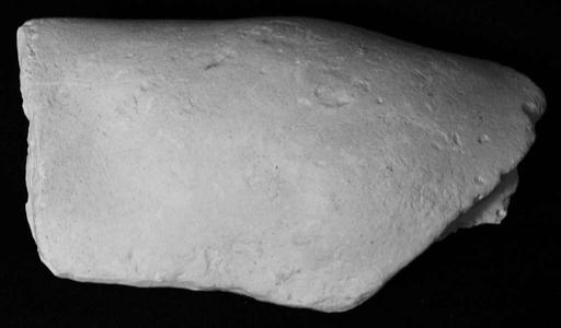Ubekendt, Højre knæ Efter originalen til Amazone Sciarra, , KAS2310-3, Statens Museum for Kunst, plaster cast, right knee, anatomy, sculpture, amazon, sciarra, art, museum, classical art, detail, study