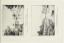 France-Album - fascicules 55-70 - dessins originaux A. Karl - btv1b10500747g (092 of 605)