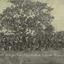 Visit of Charles Fraser p22 (2) - Public domain scan / engraving