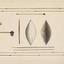 Aboriginal hunting implements and weapons2