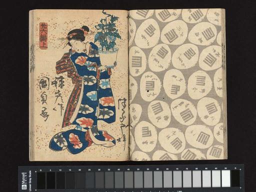 柳亭種彥作 歌川國貞画 『偐紫田舎源氏』|A Fraudulent Murasaki's