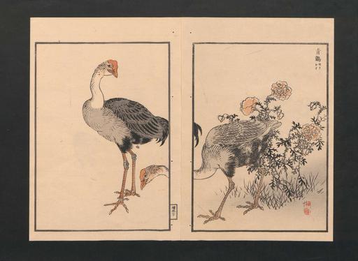 Kono Bairei (1844–1895) | PICRYL - Public Domain Media Search