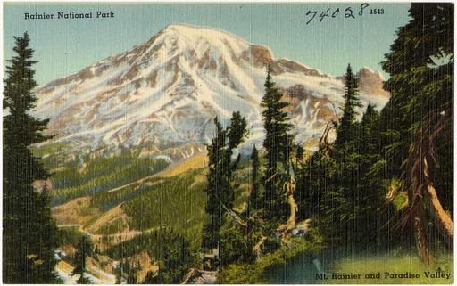Rainier National Park, Mt. Rainier and Paradise Valley, Washington ...