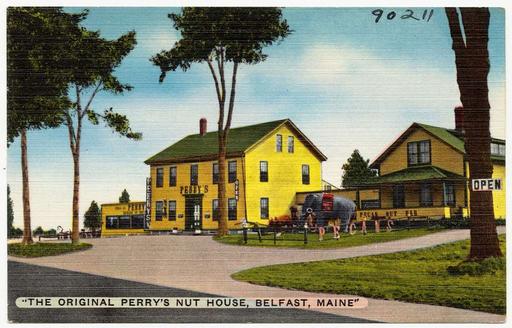 "The Original Perry's Nut House, Belfast, Maine", perry nut house, belfast, maine, roadside attraction, vintage photography, squirrel statue, nuts, retail, tourism