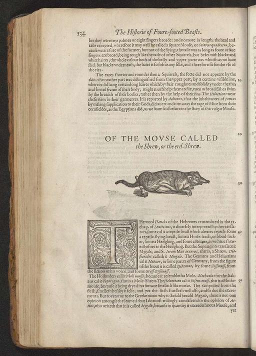 The historie of foure-footed beastes : describing the true and liuely ...