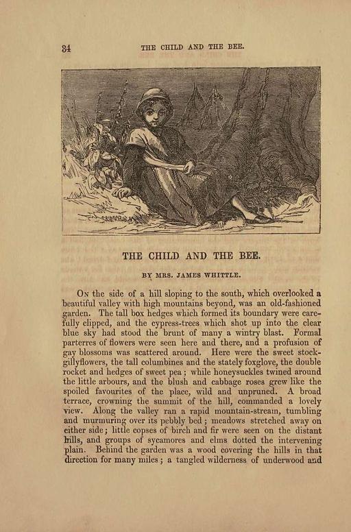 Tony the sleepless : an original tale, child, bed, night, fantasy, illustration, book, sleeplessness, creatures, dream, imagination