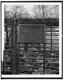 Original Concord grape vine, Concord, Massachusetts.