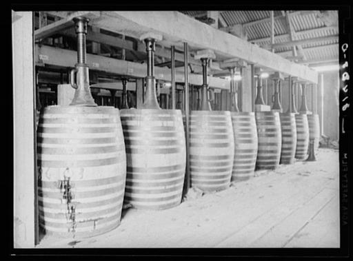 tobacco hanging in barn Curing Burley Tobacco Hanging Barn Tobacco Stock Photo 1929625697