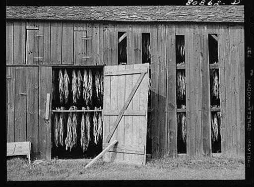 greenfield tobacco Premium II, 6248 28th St SE, Grand Rapids, MI 49546, US A black and white photo