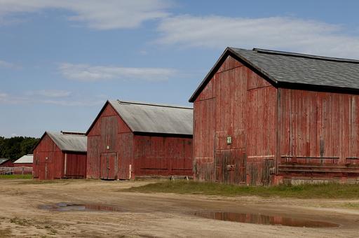 Tobacco barns in Windsor, Connecticut — PICRYL