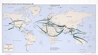 Основные районы культивирования и маршруты контрабанды, 1989 год: [картамира]. - PICRYL Поиск в мировом общественном достоянии