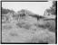 Mary Doyle Homestead, Original Residence, 30 feet south of residence, Model, Las Animas County, CO
