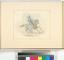 [Knight in armor with mace, mounted on horse.]