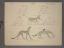 French Animal Drawing 19th Century Art Copying Technique