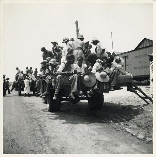 MEIBIS【PHOTOGRAMS OF THE YEAR 1929】商用フリー Peach pickers being driven to the orchards. They earn… — NYPL's