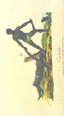 people from "The History of New South Wales, including Botany Bay, Port Jackson, Pamaratta [sic], Sydney, and all its dependancies ... with the customs and manners of the natives, and an account of the English colony, from its foundation to the present time ... Enriched with ... coloured prints"
